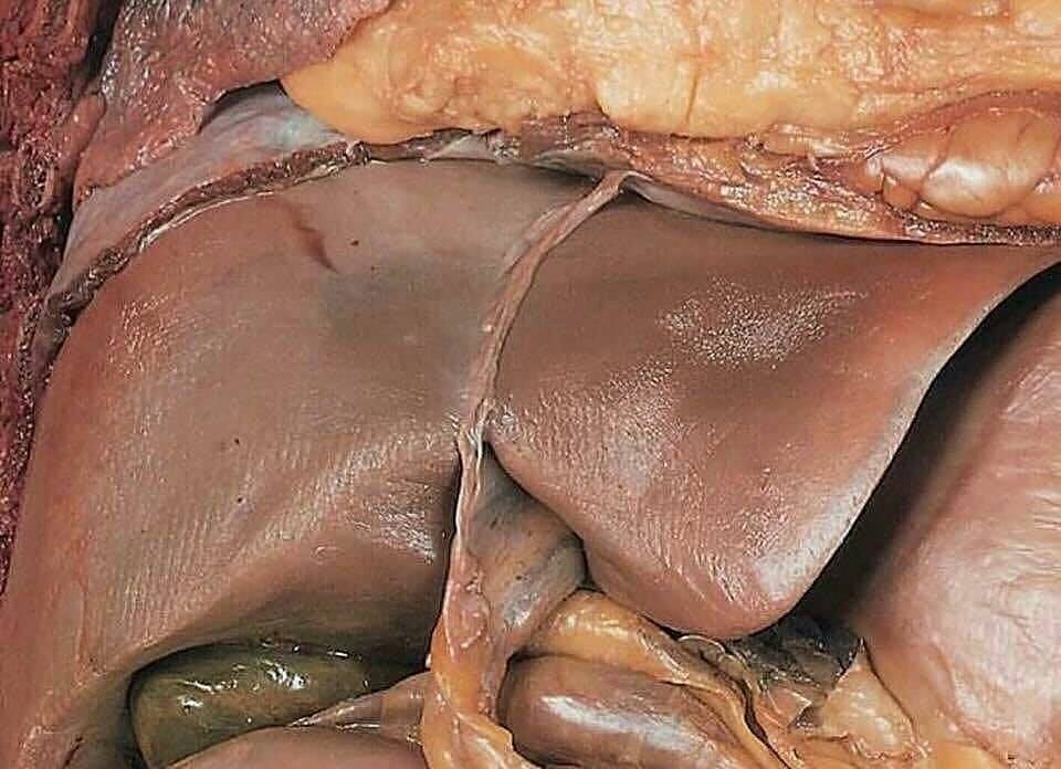 ABU 12 NA BAN MAMAKI GAME DA ANTA